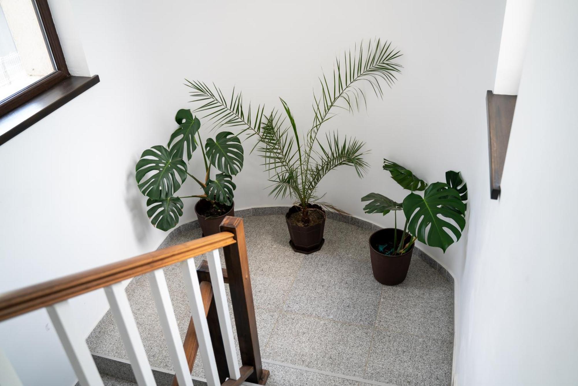 Din Natura Varbilau Exterior foto